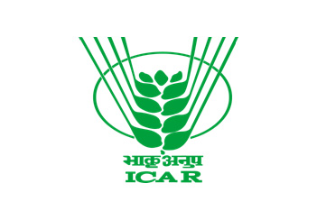 svt car rentals, yelahanka